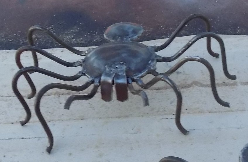 Small Tarantula