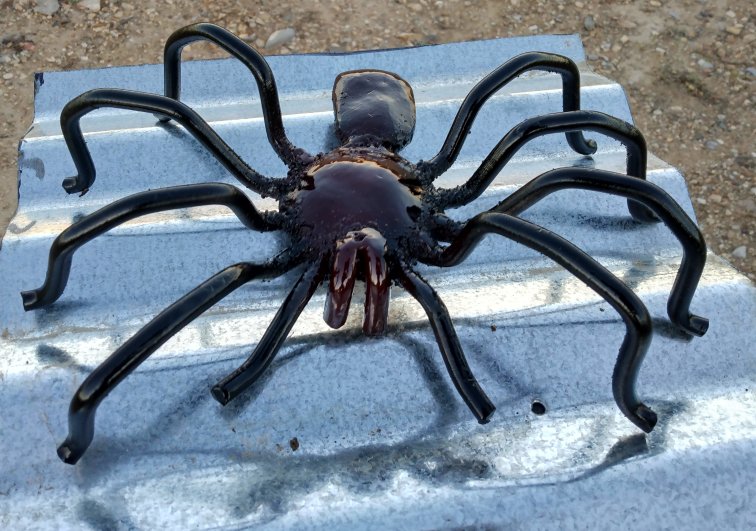 Large Tarantula