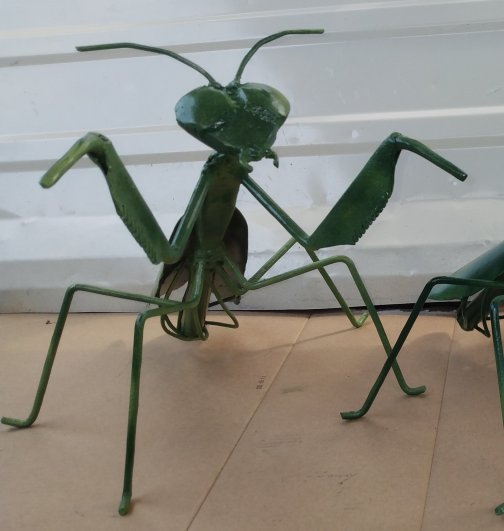 Small Mantis