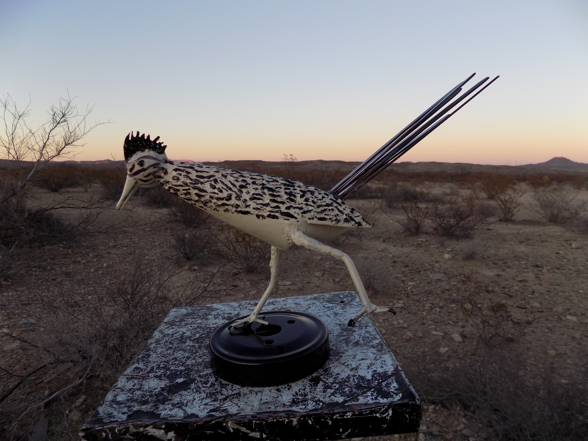 SmallRoadrunner1